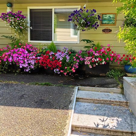 Romantic Homestay コキットラム エクステリア 写真