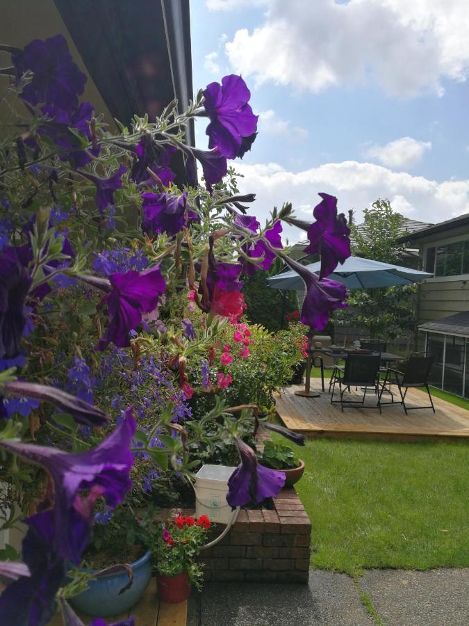 Romantic Homestay コキットラム エクステリア 写真